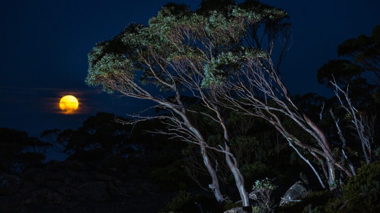 Read more about the article What is a “Super Moon”?