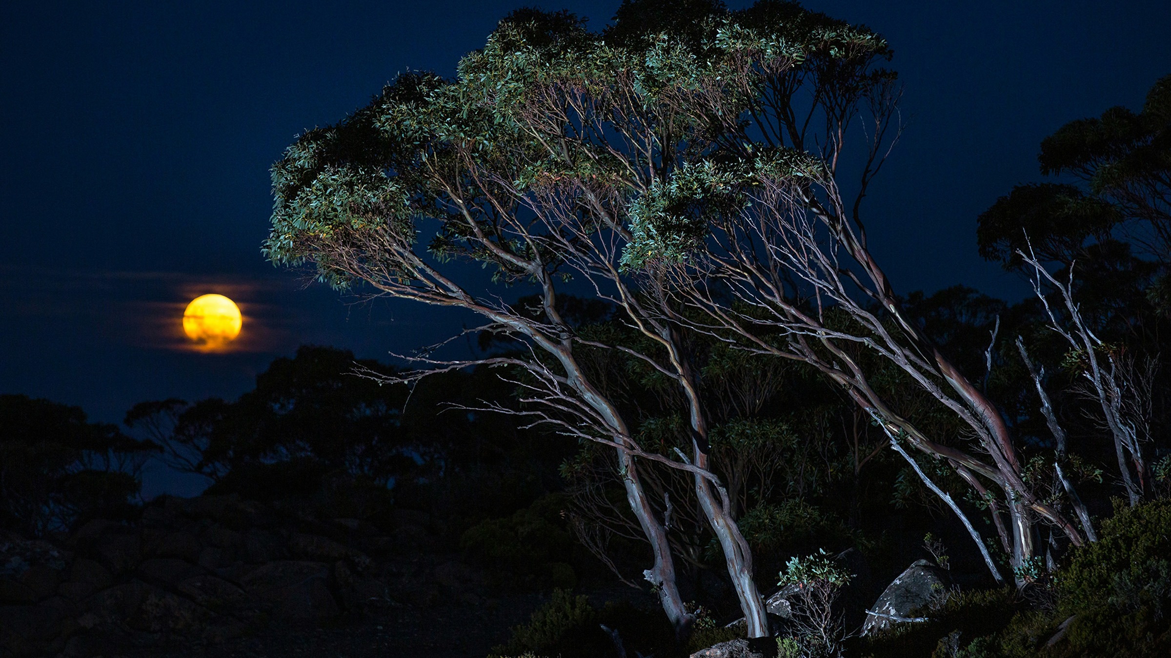 Read more about the article What is a “Super Moon”?