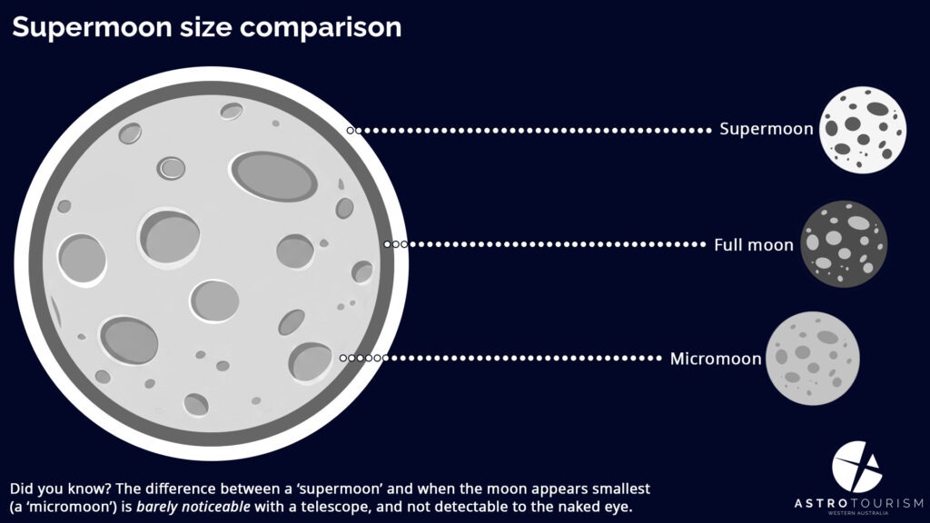 An infographic compares the size of a supermoon to a full moon and a micromoon. The difference is negligible.