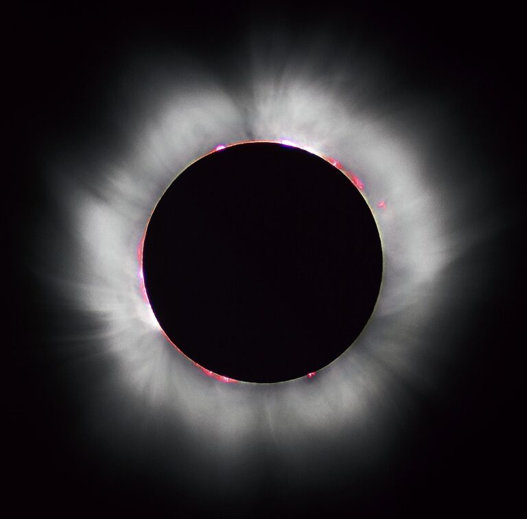 Read more about the article Top 7 Total Solar Eclipse Essentials | Stargazers Club