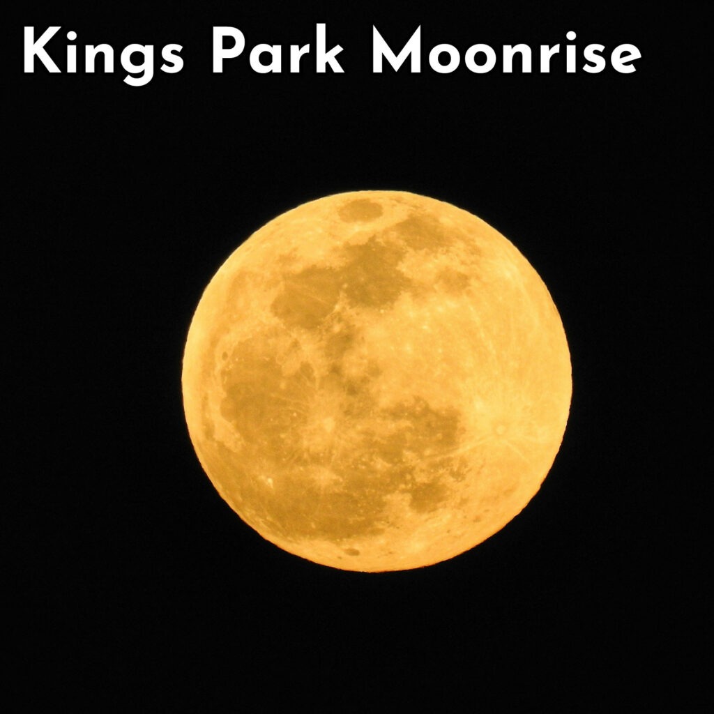 A full yellow moon in the black sky. Photo by Renzo D'souza on Unsplash.