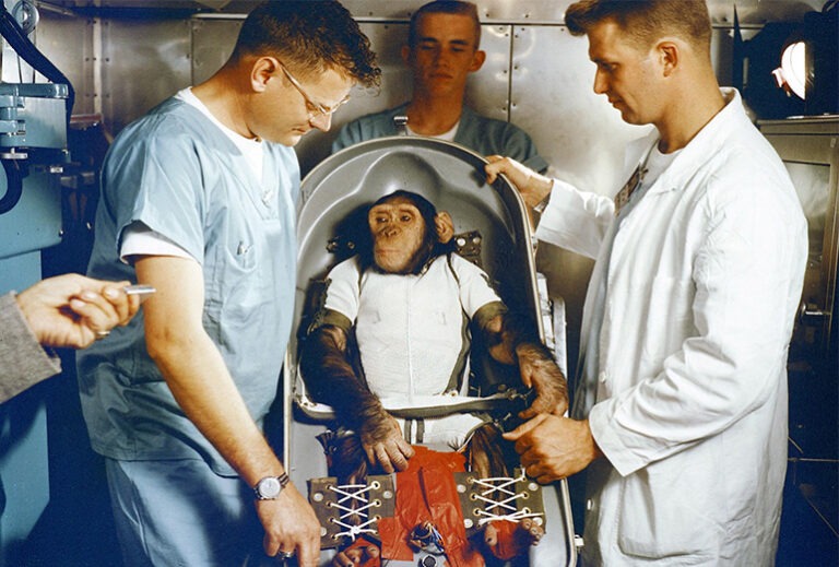 Ham the chimp a monkey is being placed into the MR-2 suborbital test flight capsule by two scientists, wearing blue scrubs. Ham the chimp wears a white jumpsuit. To his left, stands another man dressed as a scientist in a white coat.