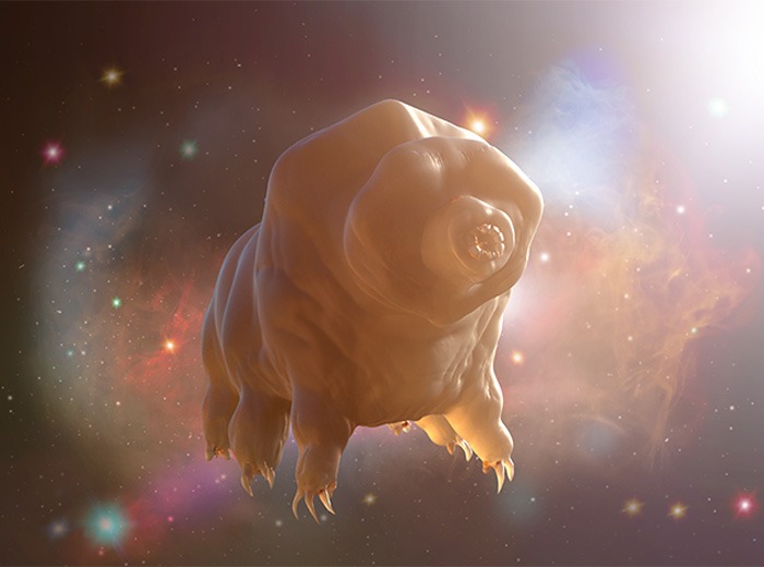 An artist's 3D rendering of a tardigrade floating in outer space