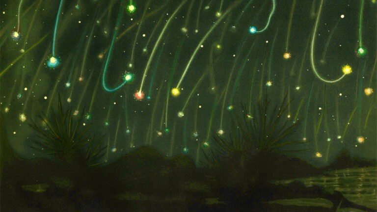 Read more about the article See shooting stars in 2026