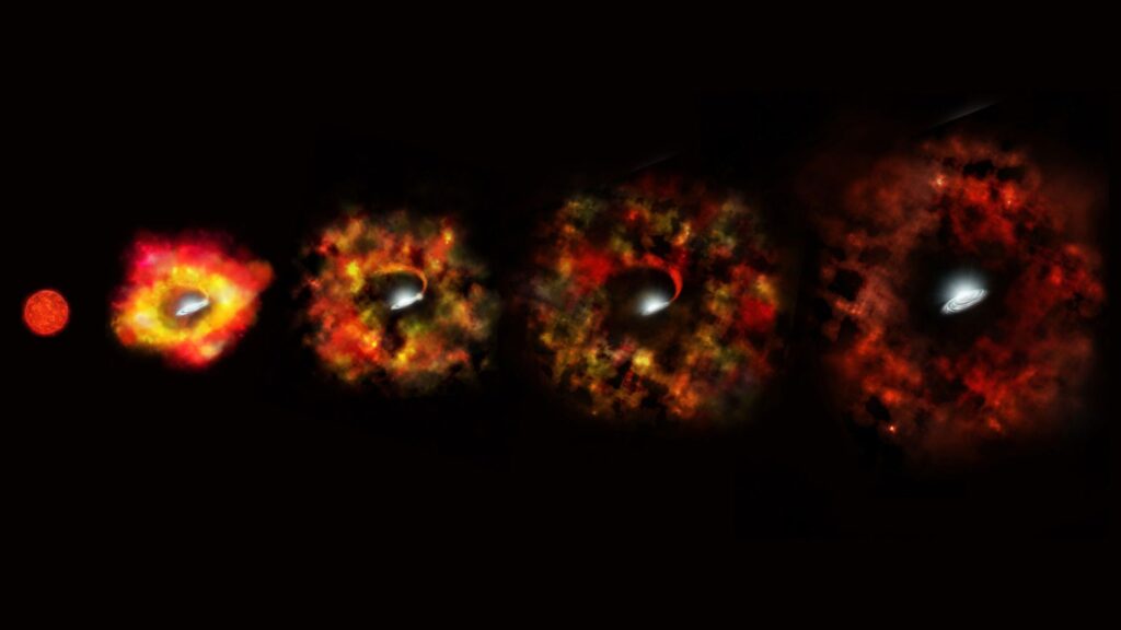 An artist's impression of how N6946-BH1 possibly becomes a black hole, from a small star to a supernova explosion.