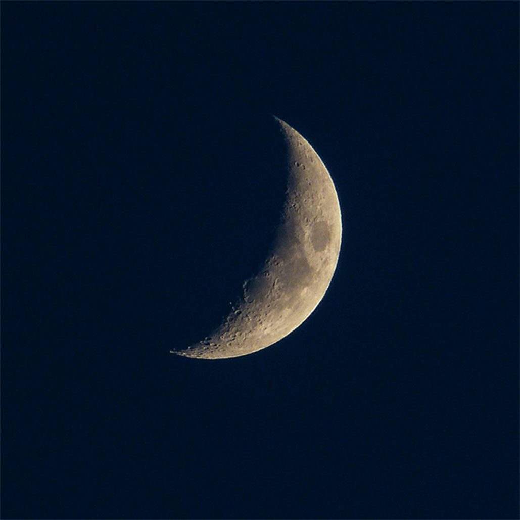 The crescent moon in the dark sky.
