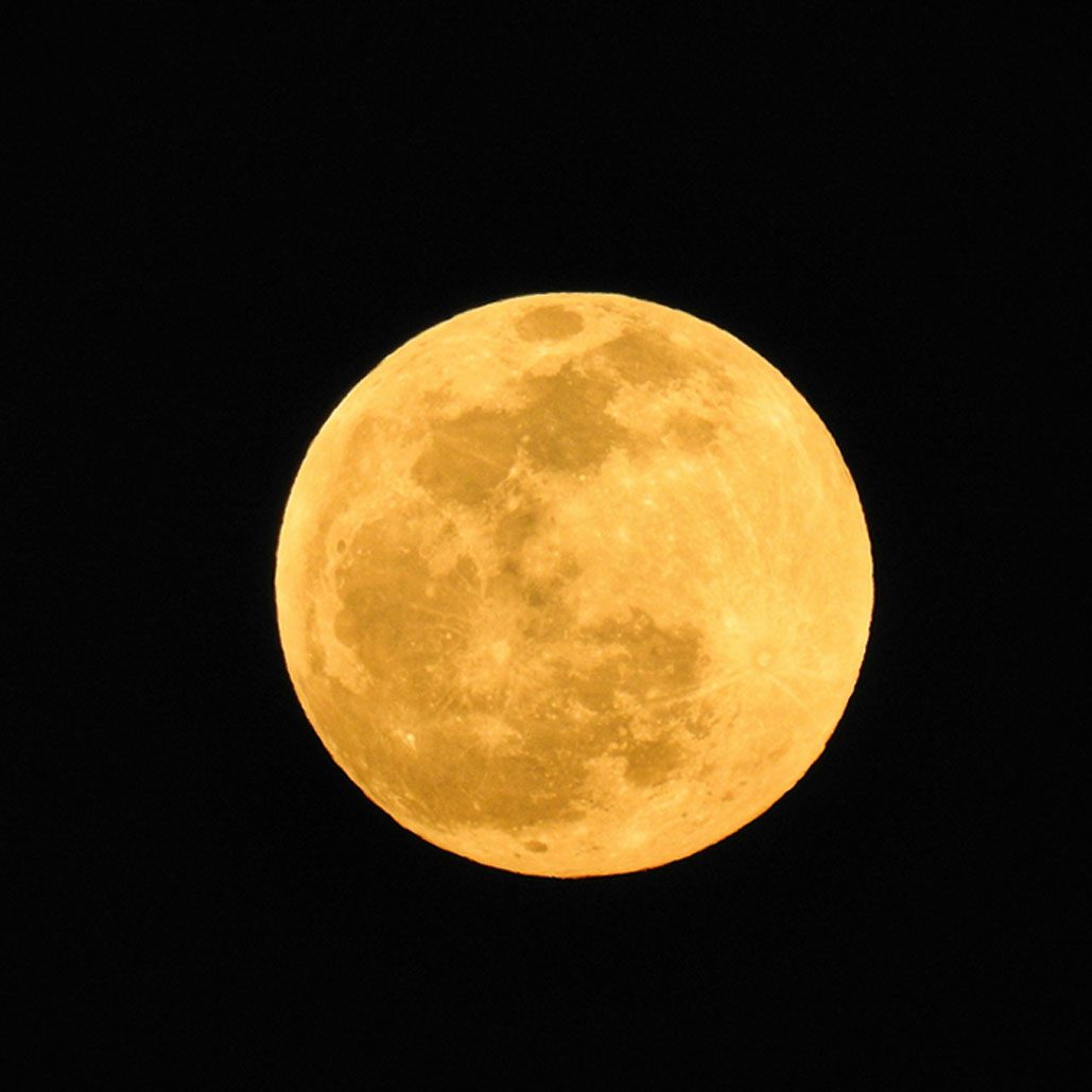 A full yellow moon in the black sky. Photo by Renzo D'souza on Unsplash.
